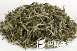 黄山毛峰是绿茶吗? 黄山毛峰多少钱一斤