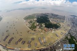 台风云雀浙江登陆 上海紧急撤离13.42万人