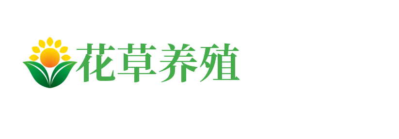 花卉养殖资讯类网站pbootcms模板(带手机端) 绿色花草植物网站源码下载