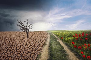 世界气象组织报告:2024 年全球二氧化碳浓度创下历史新高 世界气象组织报告:2024 年全球二氧化碳浓度创下历史新高