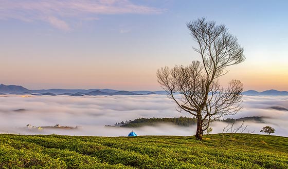 雨崩在左，天堂湖在右—记新疆乌孙古道徒步