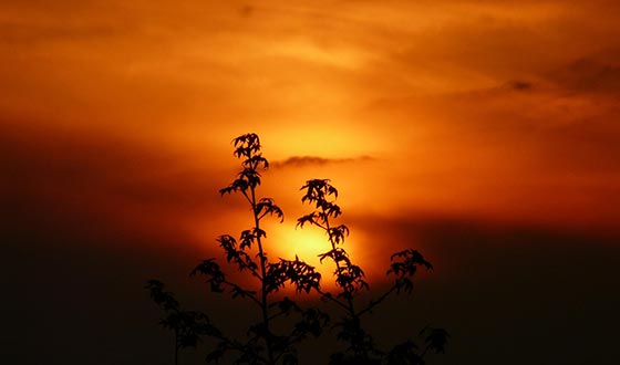 《运城》被山西圈粉的又一次访古之行