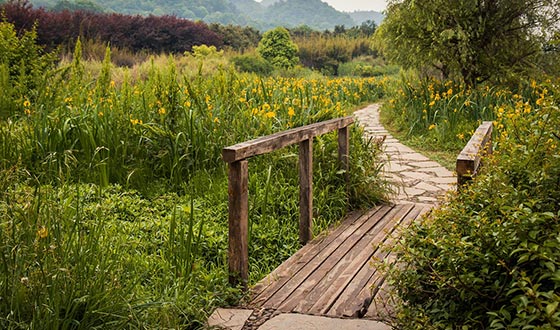 寻找碳水与手抓—甘青16日大环游