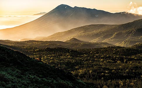 微观和宏观影响者：如何工作
