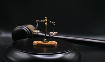 以高质量司法服务保障全面绿色转型