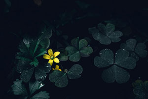 快手怎么上热门？有哪些要素？